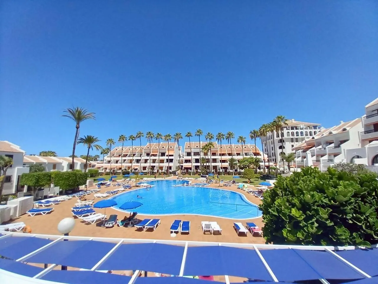 Estudio Parquito Playa de las Americas