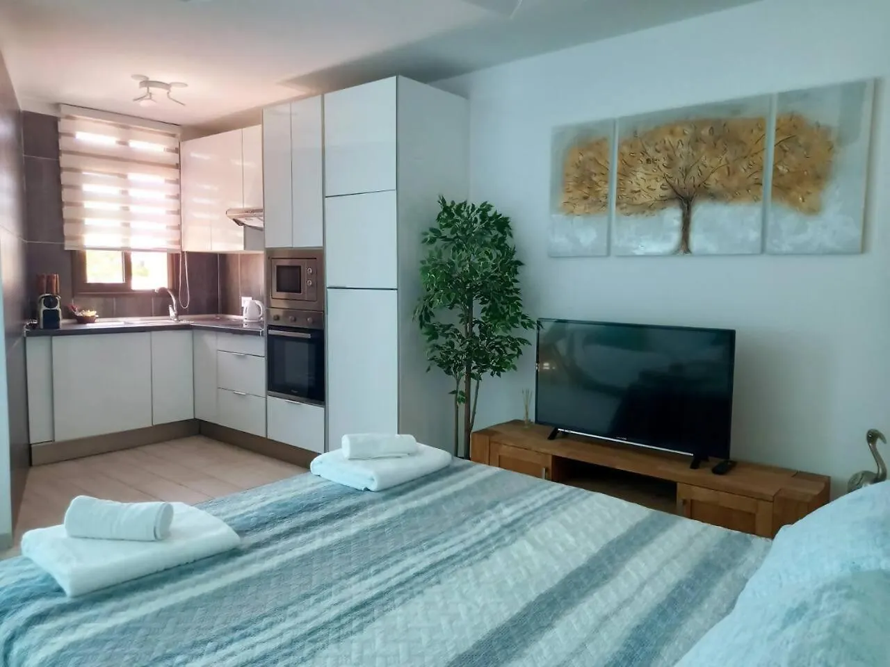 Estudio Parquito Playa de las Americas